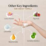 Intro (what it is + benefit) Dedox Rice Toner is a lightweight Korean skincare essential that blends rice extract with niacinamide. It hydrates deeply, restores glow, and strengthens your skin barrier without irritation. Ingredients explained Rice Extract: Rich in amino acids, known for brightening and calming. Niacinamide (Vitamin B3): Helps even tone, refine pores, and improve resilience. Ceramide NP & Squalane: Lock in moisture and protect barrier. Green Tea & Vitamin E: Provide antioxidant defense. Who can use it Safe for all skin types including dry, oily, combination, and sensitive. Ideal for those looking for hydration and glow without harsh chemicals. How to Use After cleansing, pour onto hands or cotton pad Gently pat into skin until absorbed Follow with serum or moisturizer Use morning and night Why Dedox? Alcohol-free & fragrance-free Vegan, PETA-approved Inspired by Korean beauty science Available in travel-friendly 20ml and full-size 120ml Benefits of Regular Use Long-lasting hydration Brighter, even-toned skin Strengthened barrier Soft, smooth, supple finish